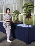 Descriptive bonsai image